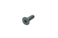 Dhollandia C/Sunk Allenbolt BI10.035.7991