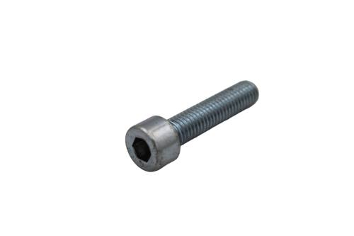 Dhollandia Allenbolt with head BI08.035