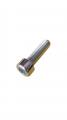 Dhollandia Allen Head Bolt BI08.030